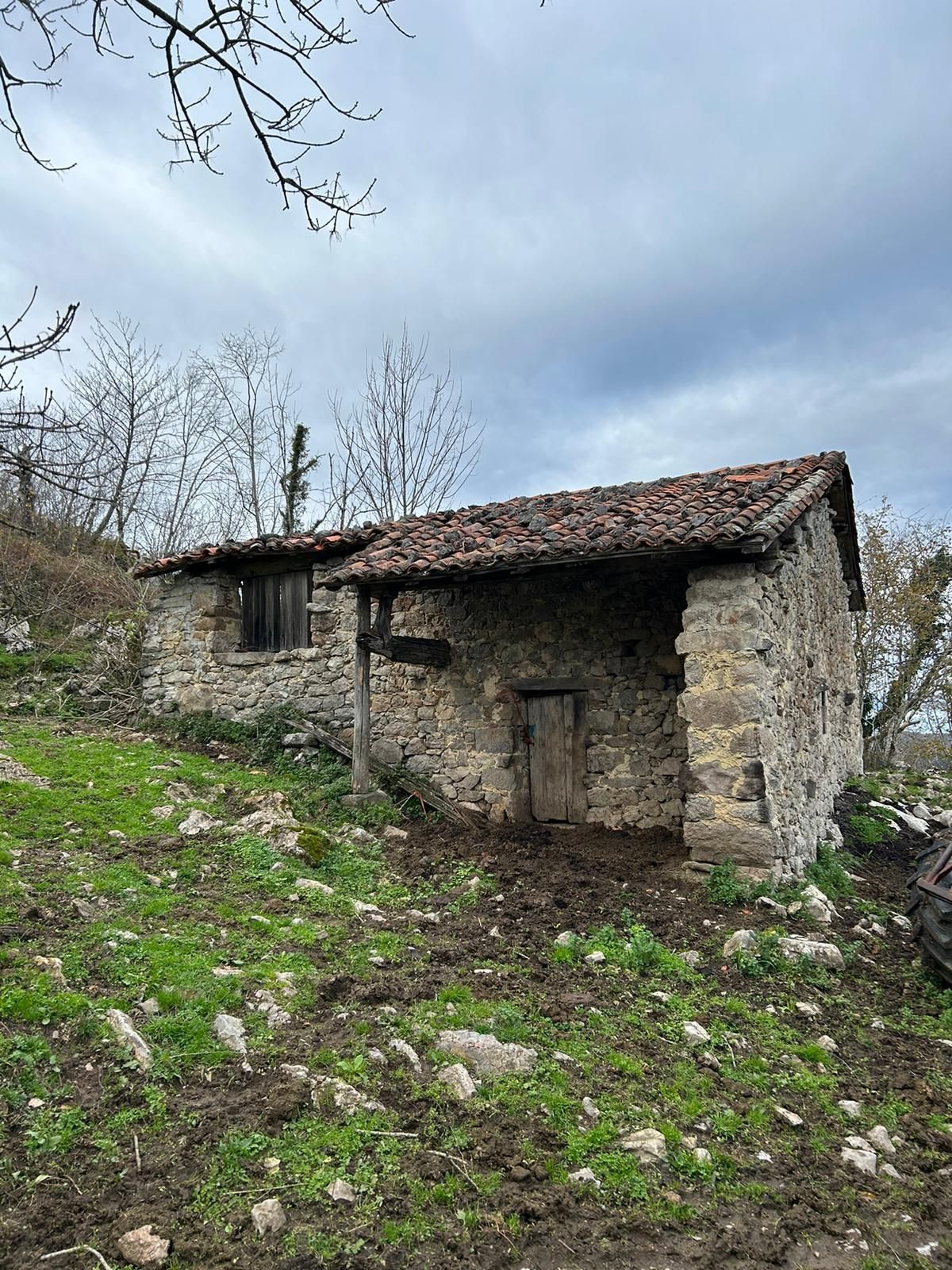 усадьба в Cangas de Onís, Cangas de Onis, продажа